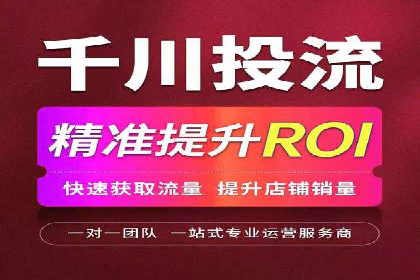 某电商平台的SEM关键词策略及成效分析